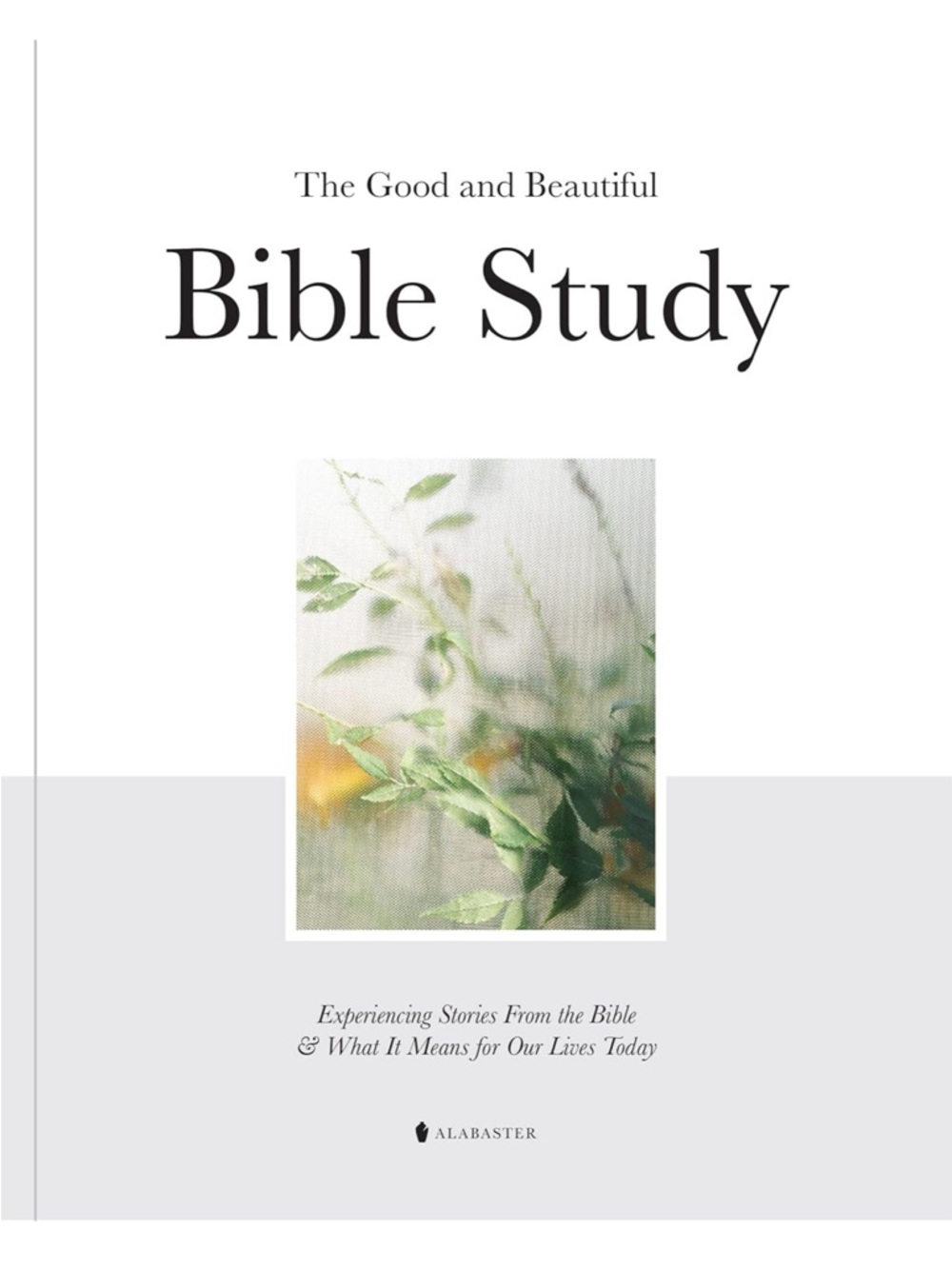 The Good and Beautiful Bible Study: Experiencing Stories From the Bible